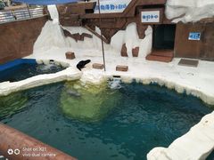 -秦皇岛乐岛海洋王国