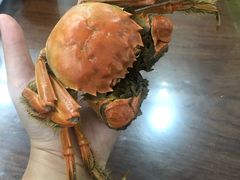 -都斛海鲜街