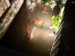 -老洋房花园饭店(绍兴路店)