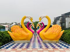 -百万葵园