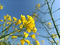 -贵阳市花溪国家城市湿地公园