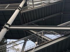 -佛山华盖山公园