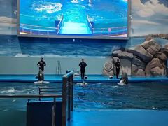-福州罗源湾海洋世界旅游区