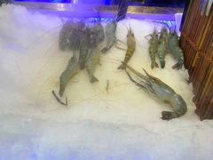 -九月海·海鲜自助(世纪东方店)
