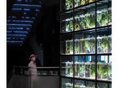 -广东中医药博物馆