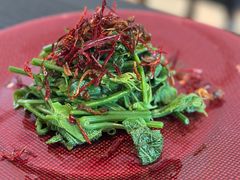 炝拌丝瓜苗-金谷仓家庭料理(马泉营店)
