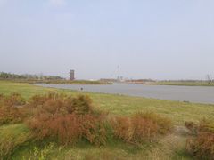 -春花秋色城市公园