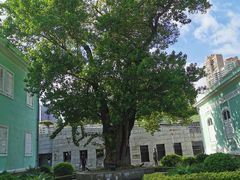 -龙环葡韵住宅式博物馆