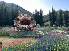 -深圳仙湖植物园