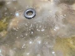 -采椰郎椰子鸡·脆皮鸡火锅(融创茂店)