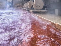 -春晖园度假酒店温泉