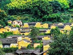 -杨家堂村