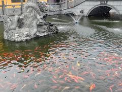 -会龙寺