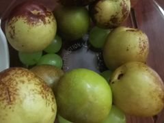 -桥西市场(环城西路)