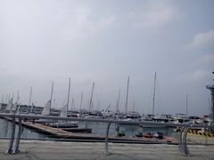 -东港音乐喷泉广场