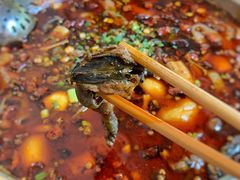 -黑竹香鸡(营和巷店)