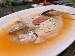 酒漕鲥鱼-菲乐餐厅(三十年经营·湖滨路店)