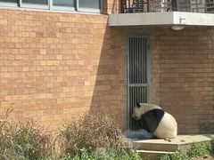 -苏州太湖国家湿地公园