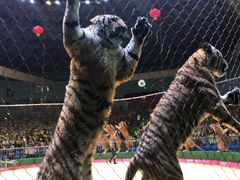 -西安秦岭野生动物园