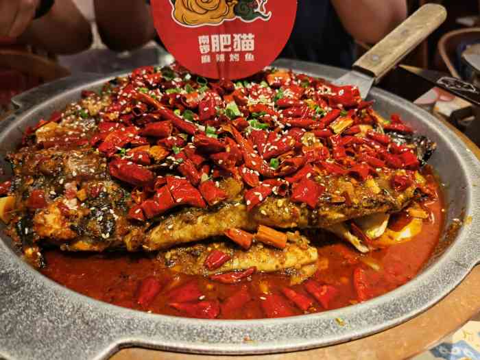 南锣肥猫·麻辣烤鱼(悠唐店购物中心店)