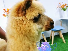 -武汉5D星空错觉艺术馆(中心百货店)