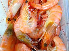 白灼虾-四川人郑霞海鲜