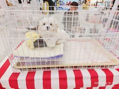 -北京华联购物中心(天通苑店)