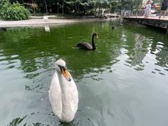 -成都动物园