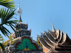 -西双版纳傣族园