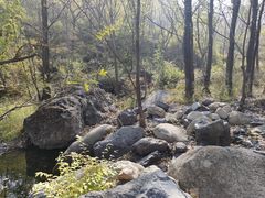 -云岫谷游猎自然风景区