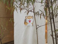 -柴务处·柴犬主题狗咖