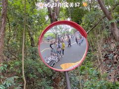 -深圳仙湖植物园