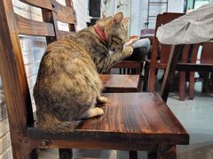 -官塘锋记鱼生·生腌·砂锅粥(牌坊街店)