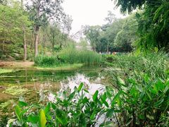 -白水寺森林公园