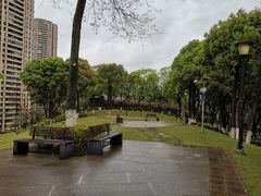 -重庆市江北嘴中央商务区中央公园