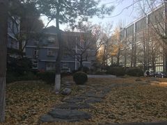 -北京师范大学邱季端体育馆