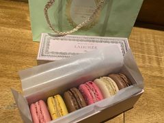 巧克力马卡龙-Pierre Marcolini(德基广场店)
