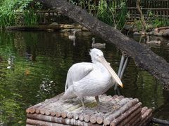 -济南野生动物世界