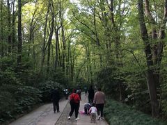 -紫金山山顶公园