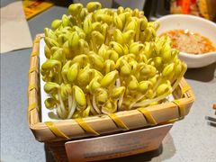豆芽-巴奴毛肚火锅(悠唐购物中心店)