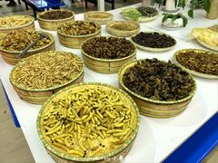 -祥云美食城(南强步行街店)