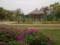 -中澳友谊花园
