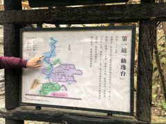 -天门沟九州驿站树上汤泉