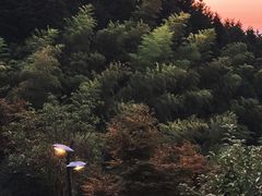 -溪口商量岗景区