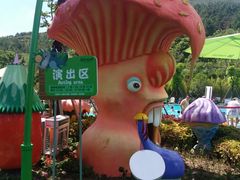 -苏州乐园森林水世界