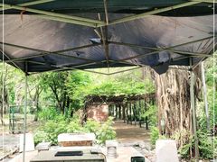 -仙湖旅游度假区