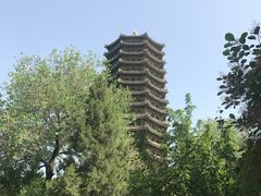 -博雅塔