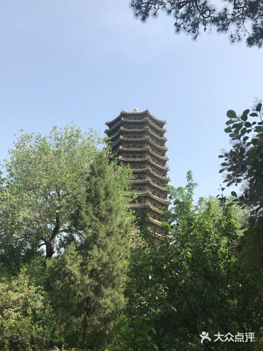 博雅塔图片