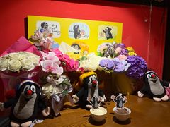 -布拉格餐厅· 中欧捷克菜(全国首店)