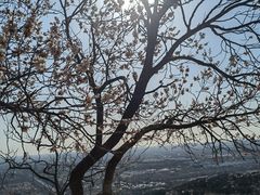 -北京西山国家森林公园